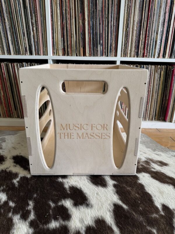 Snake Park Records 12" Vinyl Crate - Image 4